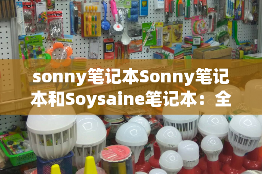 sonny笔记本Sonny笔记本和Soysaine笔记本：全方位比较与评估